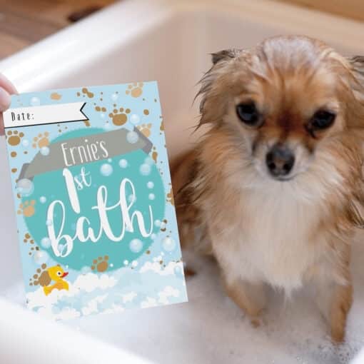Personalised Puppy Cards