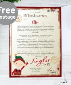 Personalised Elf Surveillance Christmas Letter