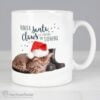 Personalised Rachael Hale Santa Claws Christmas Cat Mug