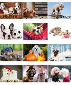 Personalised A4 Barking Mad Calendar