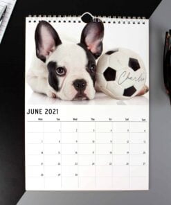 Personalised A4 Barking Mad Calendar