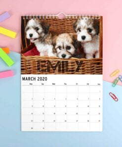 Personalised A4 Barking Mad Calendar
