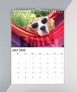 Personalised A4 Barking Mad Calendar