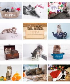 Personalised A4 Cats & Kittens Calendar