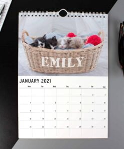 Personalised A4 Cats & Kittens Calendar