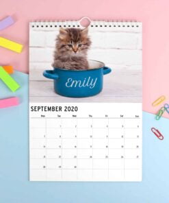 Personalised A4 Cats & Kittens Calendar