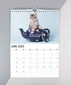 Personalised A4 Cats & Kittens Calendar