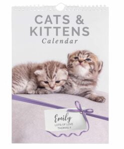 Personalised A4 Cats & Kittens Calendar