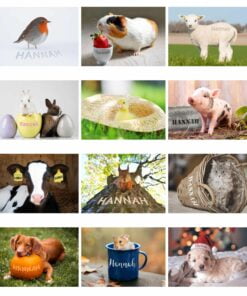 Personalised A4 Cute Animals Calendar