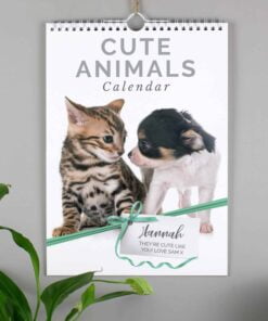 Personalised A4 Cute Animals Calendar