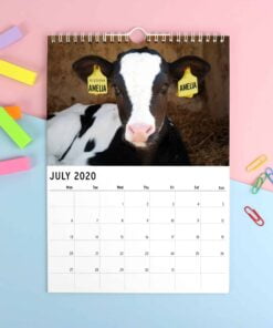 Personalised A4 Cute Animals Calendar