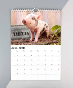 Personalised A4 Cute Animals Calendar