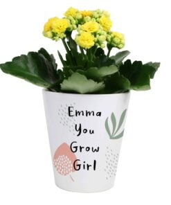 Personalised Abstract Pattern Plant Pot