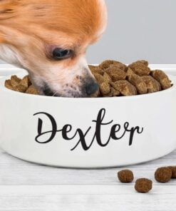 Personalised Any Name 14cm Medium White Pet Bowl
