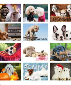 Personalised Barking Mad Dog Desk Calendar