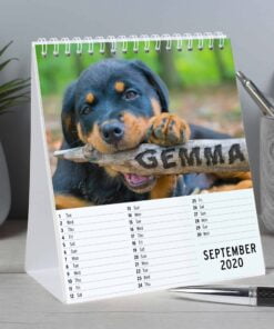 Personalised Barking Mad Dog Desk Calendar