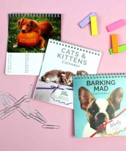Personalised Cats and Kittens Desk Calendar