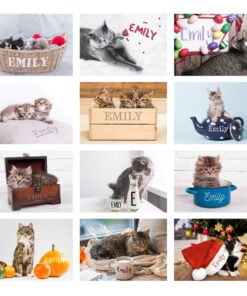 Personalised Cats and Kittens Desk Calendar