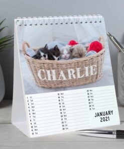 Personalised Cats and Kittens Desk Calendar