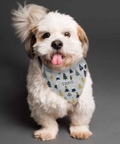 Pet Products