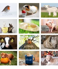 Personalised Cute Animals Desk Calendar