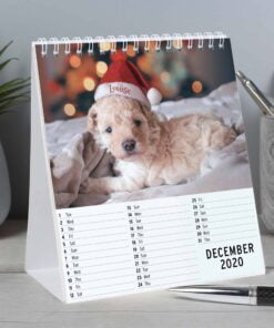 Personalised Cute Animals Desk Calendar