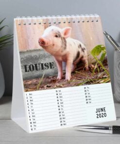 Personalised Cute Animals Desk Calendar