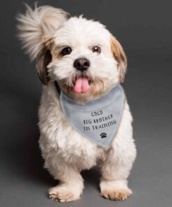 Personalised Dog Bandana