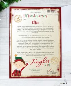 Personalised Elf Surveillance Christmas Letter