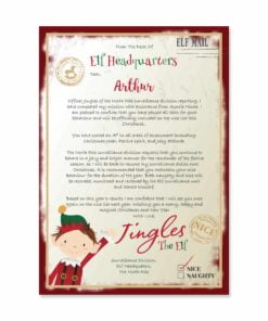 Personalised Elf Surveillance Christmas Letter