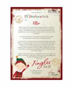 Personalised Elf Surveillance Christmas Letter