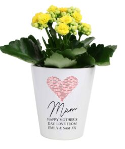 Personalised Heart Plant Pot
