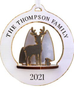 Personalised Make Your Own Reindeer 3D Decoration Kit