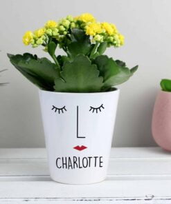 Personalised ‘Mrs Face’ Plant Pot