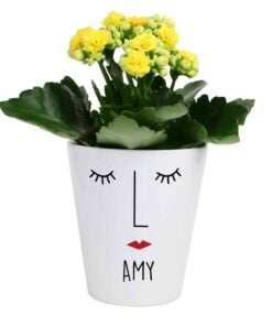 Personalised ‘Mrs Face’ Plant Pot