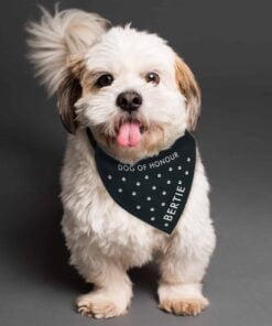 Personalised Paw Print Dog Bandana