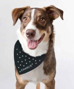 Personalised Paw Print Dog Bandana
