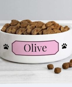 Personalised Pink Plaque 14cm Medium Pet Bowl
