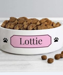 Personalised Pink Plaque 14cm Medium Pet Bowl
