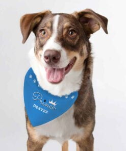 Personalised Prince Dog Bandana