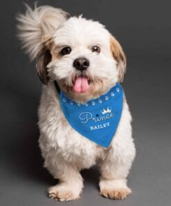 Personalised Prince Dog Bandana