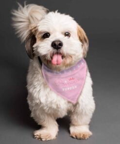 Personalised Princess Dog Bandana