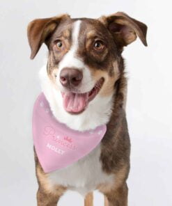 Personalised Princess Dog Bandana