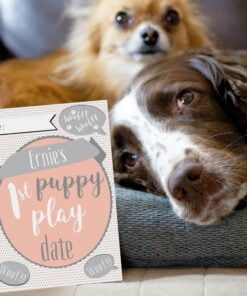 Personalised Puppy Cards