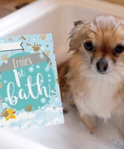 Personalised Puppy Cards