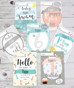 Personalised Puppy Cards