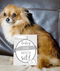 Personalised Puppy Cards