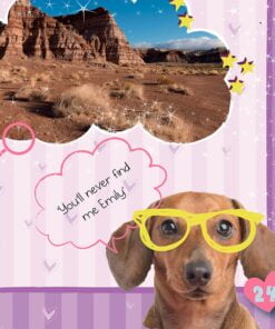 Personalised Rachael Hale Adorable Animals Activity Book With Stickers