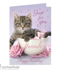 Personalised Rachael Hale ‘Just for You’ Kitten Card