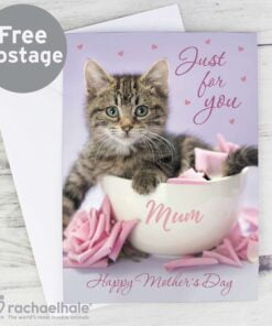 Personalised Rachael Hale ‘Just for You’ Kitten Card